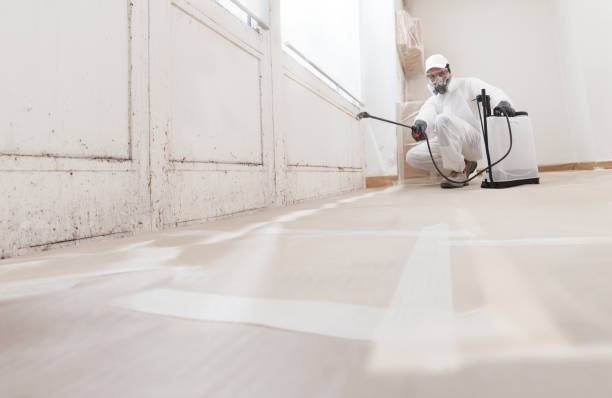 24/7 Emergency Mold Removal experts in Machipongo, VA